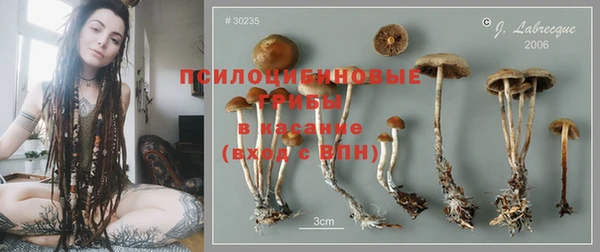 МДМА Инсар