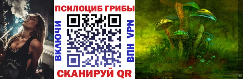 Купить закладки  Бокситогорск  Псилоцибиновые грибы Psilocybe 